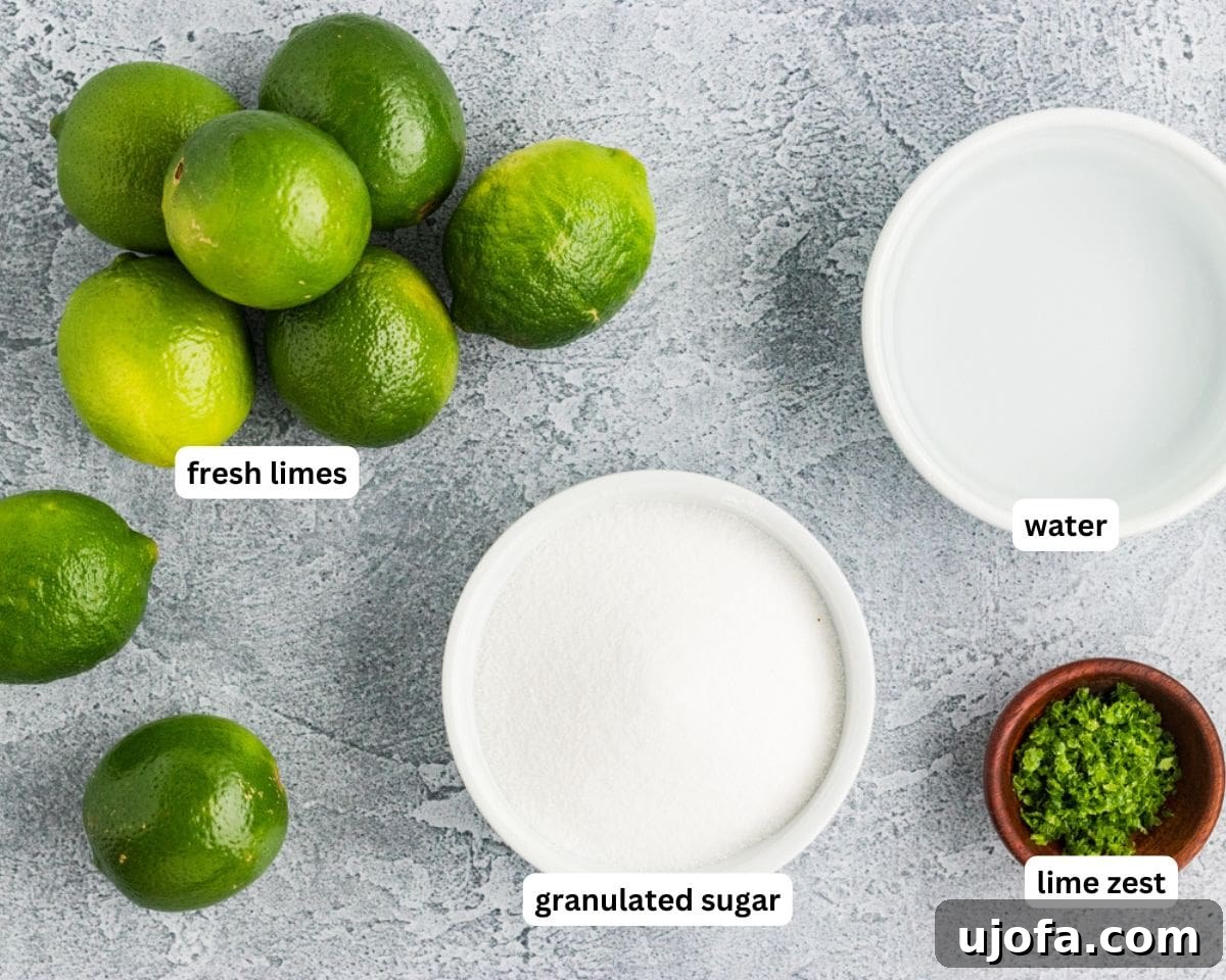 Refreshing Lime Sorbet Recipe: Zesty Homemade Citrus Sorbet 4 ingredients to make lime sorbet