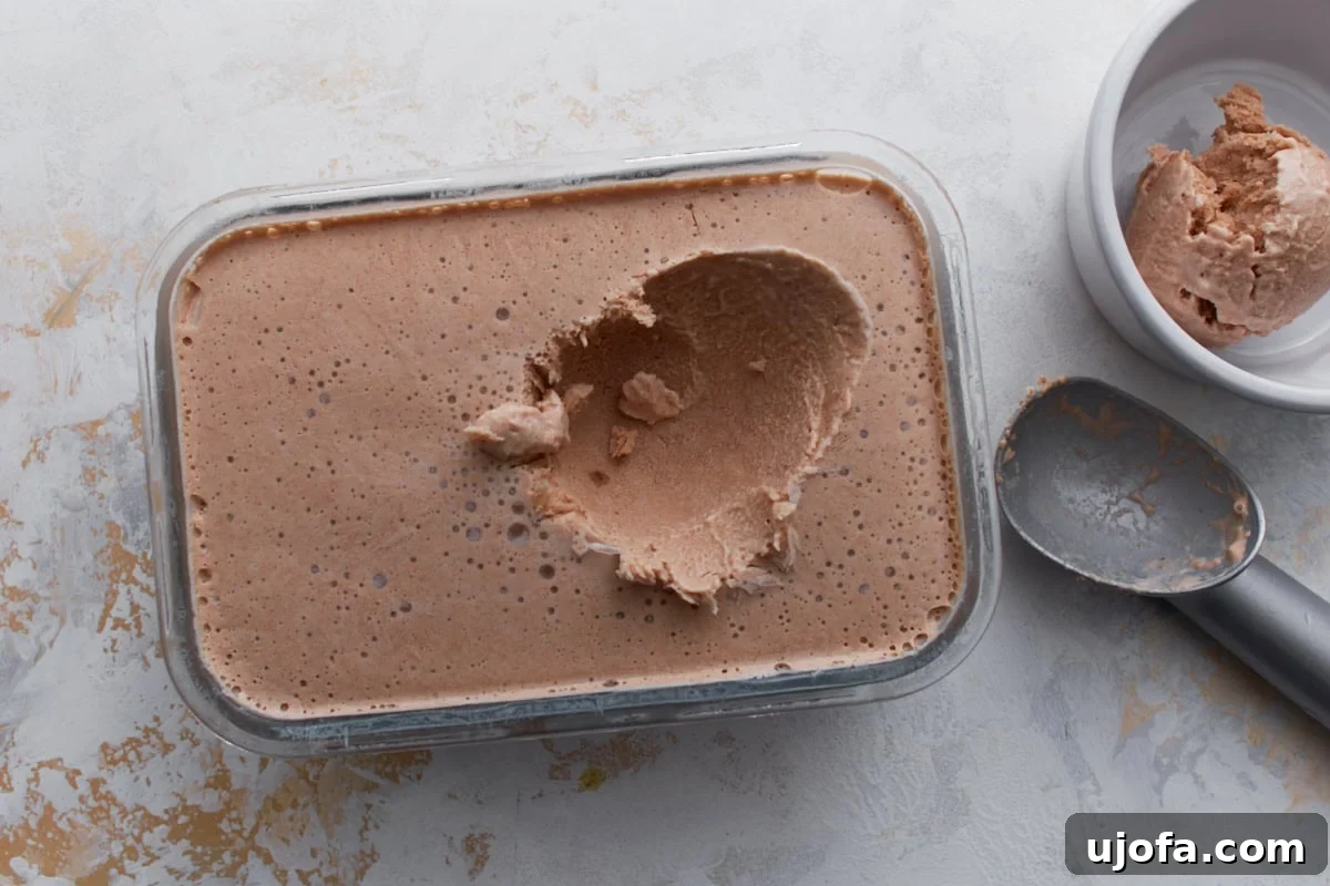 Scoop of date ice cream lifted from a freezer-safe container, showing the smooth, creamy texture.