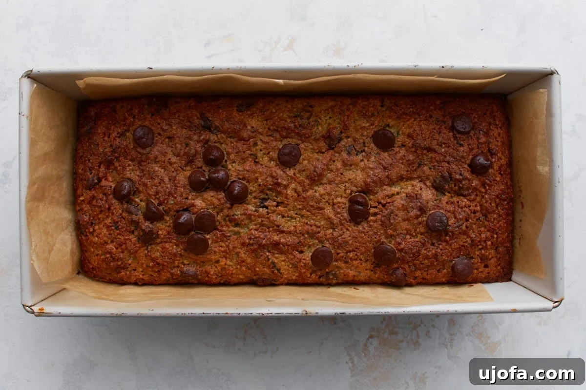 Freshly baked almond flour zucchini bread with chocolate chips in a parchment lined loaf pan