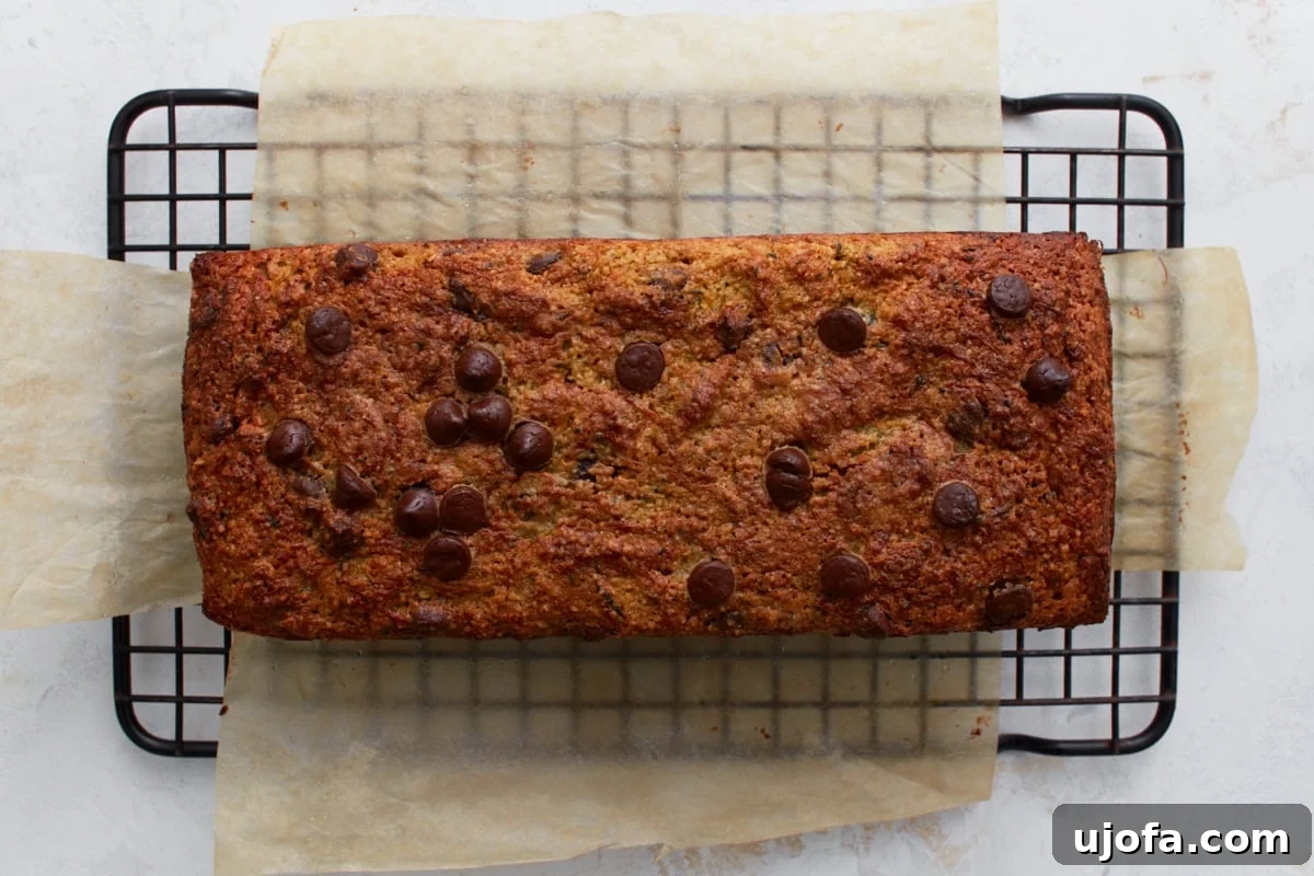 Baked almond flour zucchini chocolate chip bread cooling on a black wire rack on parchment paper