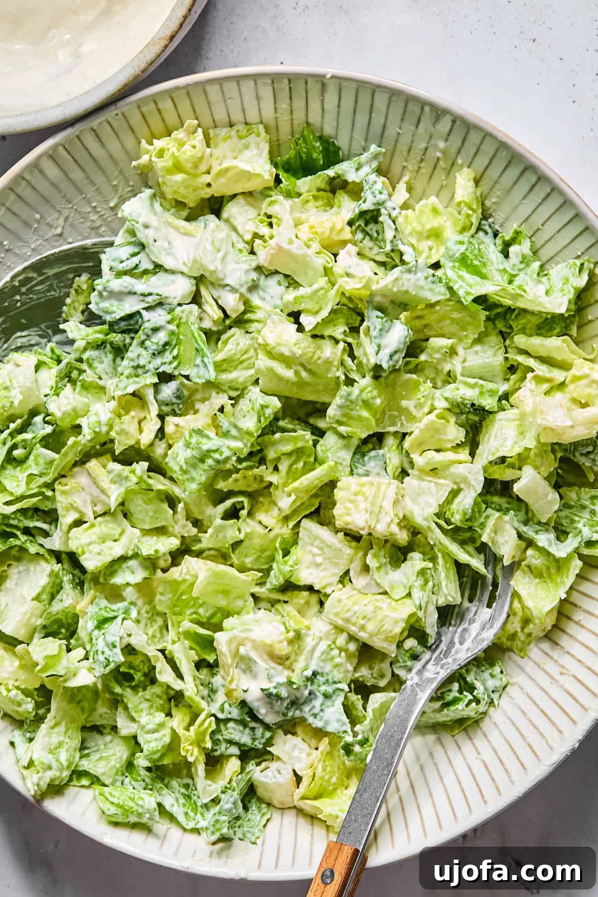 Protein-Packed Salmon Caesar with Creamy Dressing 9 caesar salad in a bowl