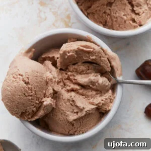 Date ice cream scooped into white bowls with a spoon, showing its creamy texture and caramel-colored appearance.
