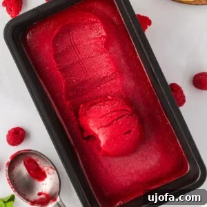 A black loaf pan filled with bright red raspberry sorbet, with one scoop removed and a metal ice cream scoop resting beside fresh raspberries and lemon slices.