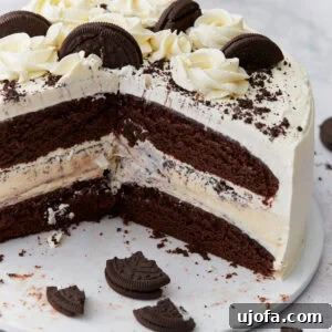 A layered gluten-free chocolate ice cream cake sliced to reveal chocolate cake layers, a vanilla ice cream center with cookie pieces, whipped cream frosting, and decorative chocolate cookies and rosettes on top.