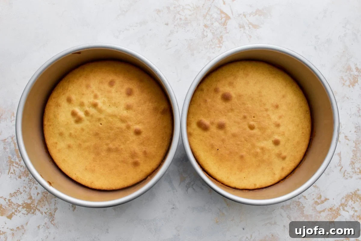 Classic Gluten-Free Victoria Sponge Cake Recipe 10 Two golden baked gluten-free sponge cake layers in their round pans