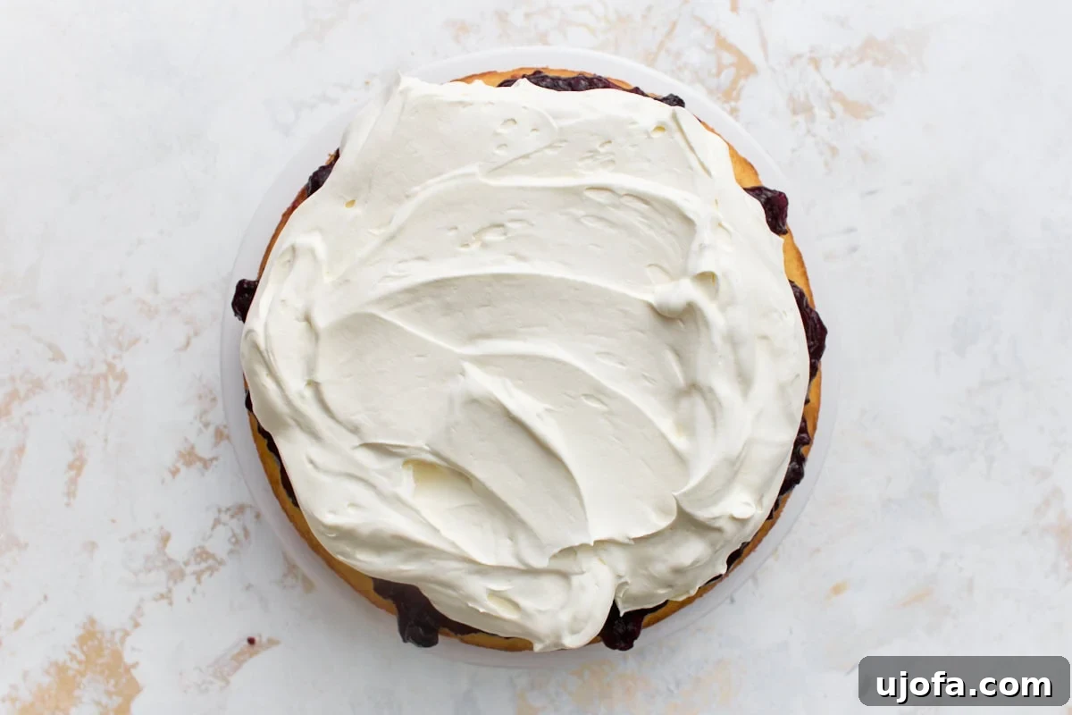 Classic Gluten-Free Victoria Sponge Cake Recipe 11 Whipped cream spread in swirls over the jam layer on the bottom sponge