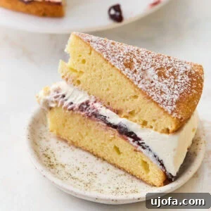 Classic Gluten-Free Victoria Sponge Cake Recipe 3 Slice of gluten-free Victoria sponge cake on a speckled plate, showing layers of sponge, jam, and whipped cream dusted with powdered sugar