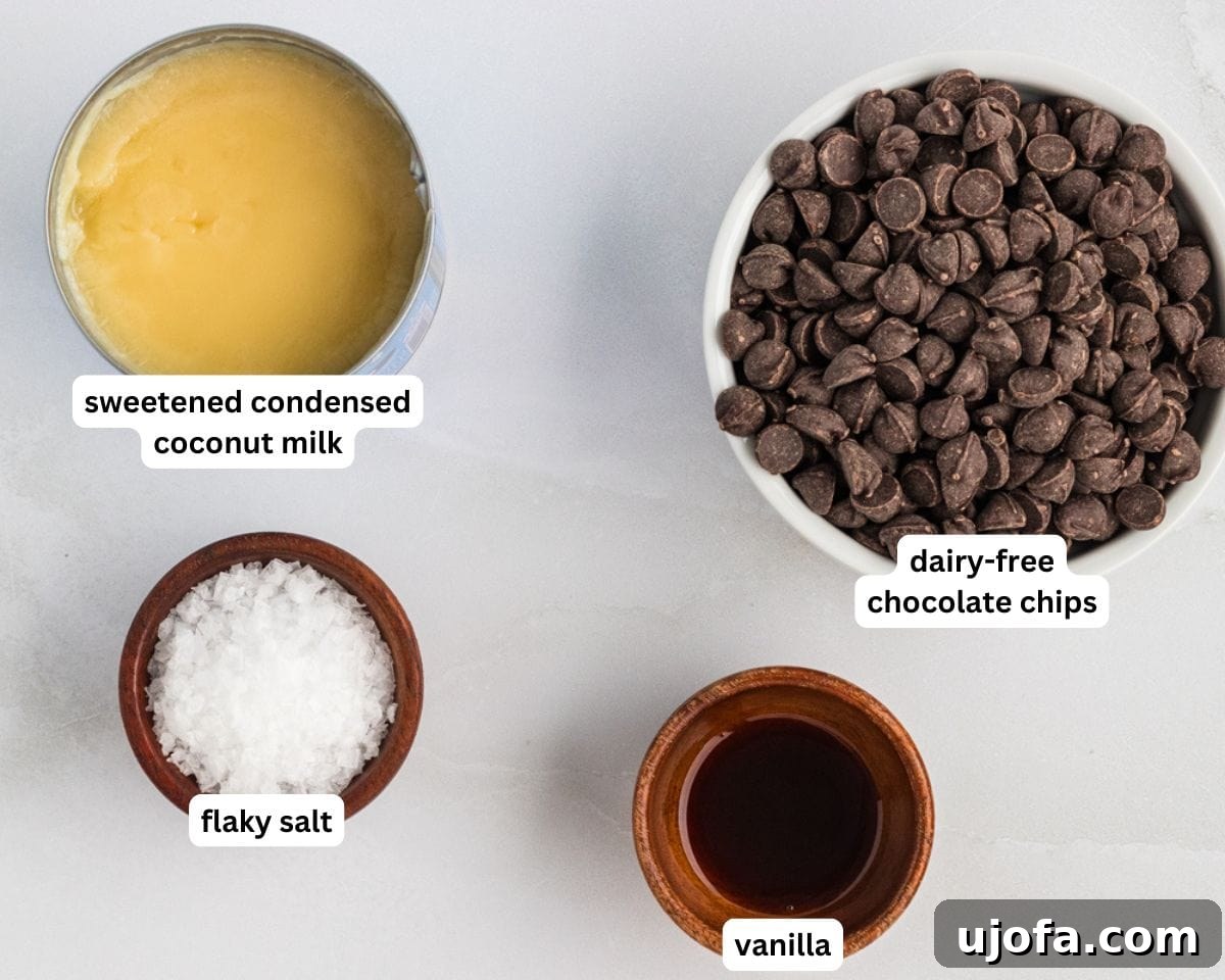 Rich Gluten-Free Dairy-Free Chocolate Fudge Recipe 4 dairy-free and gluten-free chocolate fudge ingredients