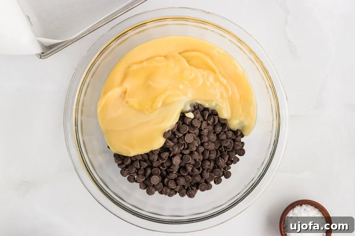 Rich Gluten-Free Dairy-Free Chocolate Fudge Recipe 5 Overhead view of sweetened condensed coconut milk and dairy-free chocolate chips in a glass bowl before melting