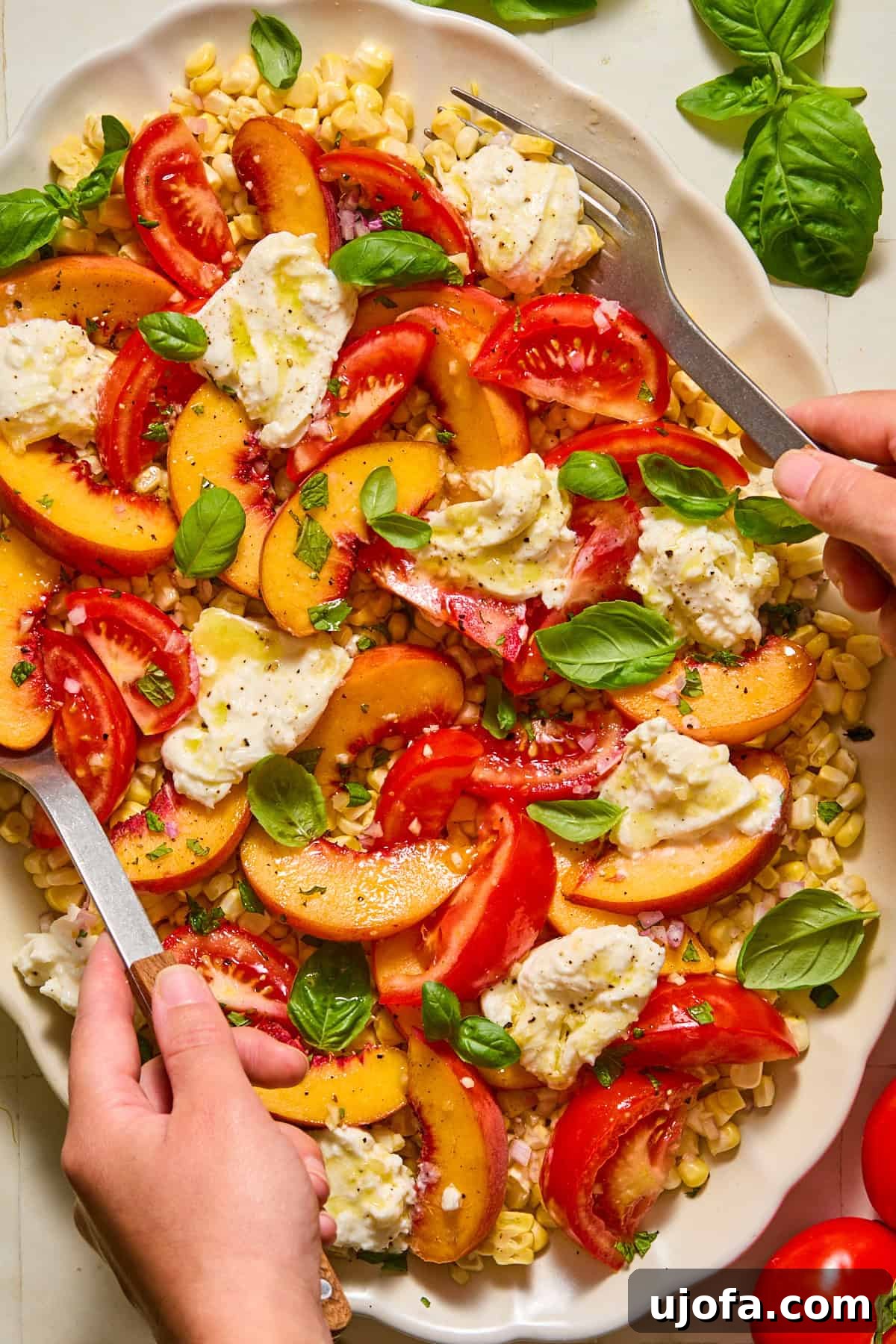 Burrata and Peach Salad with Spicy Honey Vinaigrette 4 Burrata salad close-up