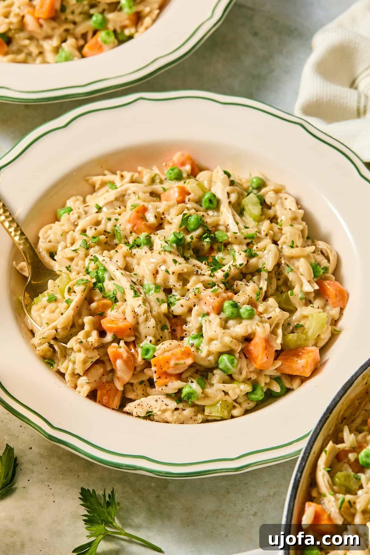 One-Pan Chicken Pot Pie Orzo 11 A bowl filled with chicken pot pie orzo garnished with fresh chopped parsley.