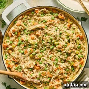One-Pan Chicken Pot Pie Orzo 12 chicken pot pie orzo pasta in a skillet