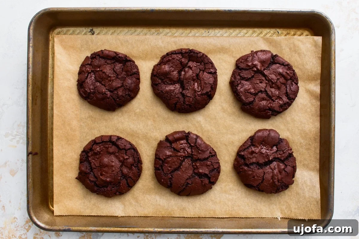 Fudgy Flourless Chocolate Cookies Gluten Free 10 Six flourless chocolate cookies fresh out of the oven with shiny, cracked tops.