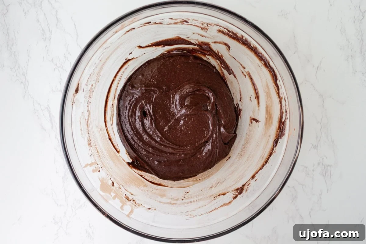Gluten-Free Cosmic Brownies: Little Debbie Copycat Recipe 7 Fudgy gluten-free brownie batter after the cocoa powder, flour, and salt have been stirred in.