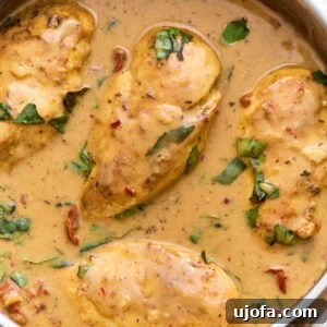 Dairy-Free Marry Me Chicken with Sun-Dried Tomato Sauce 3 Overhead close-up of dairy-free Marry Me Chicken in a skillet, coated in a creamy sun-dried tomato sauce and topped with fresh basil.