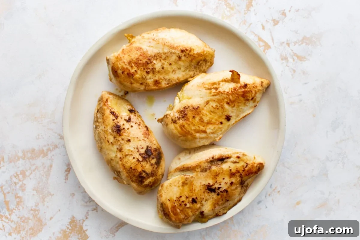 Dairy-Free Marry Me Chicken with Sun-Dried Tomato Sauce 6 Four golden pan-seared chicken breasts resting on a plate before simmering in the dairy-free Marry Me Chicken sauce.