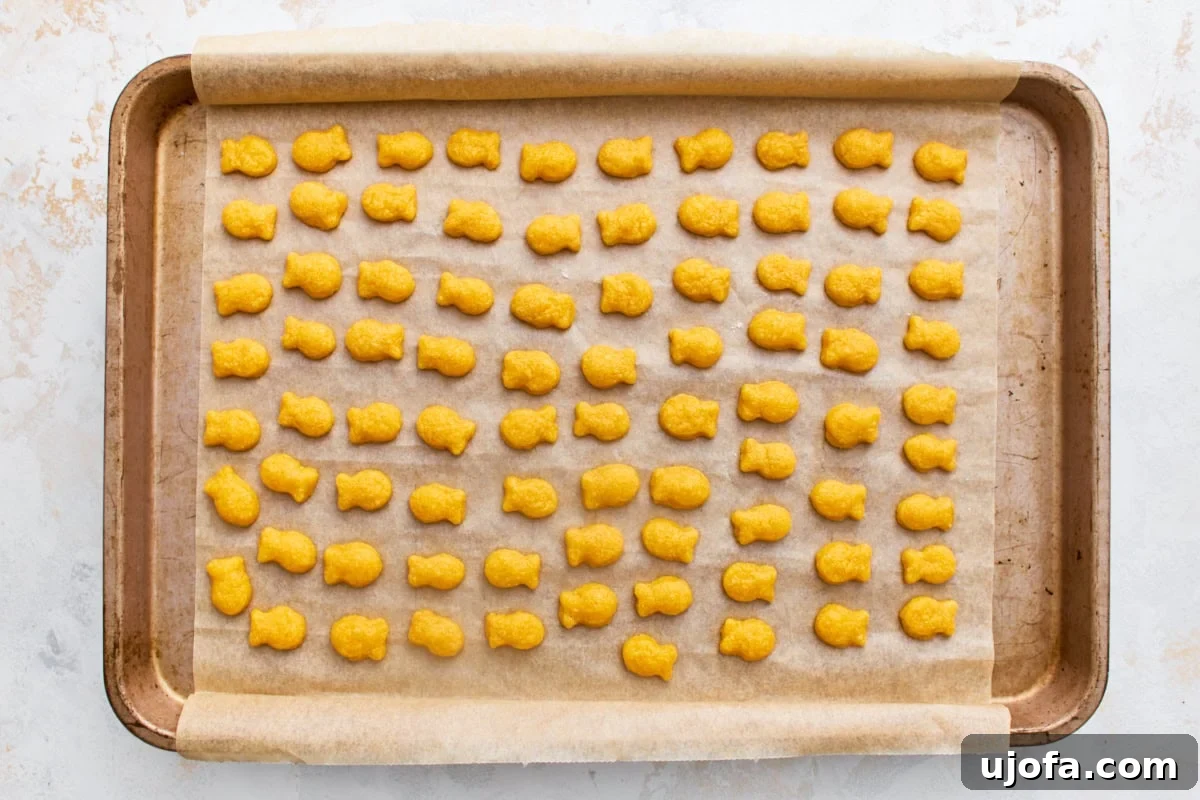 Homemade Gluten-Free Goldfish Crackers 8 Rows of baked gluten-free goldfish crackers on a parchment-lined baking sheet, golden and crisp.