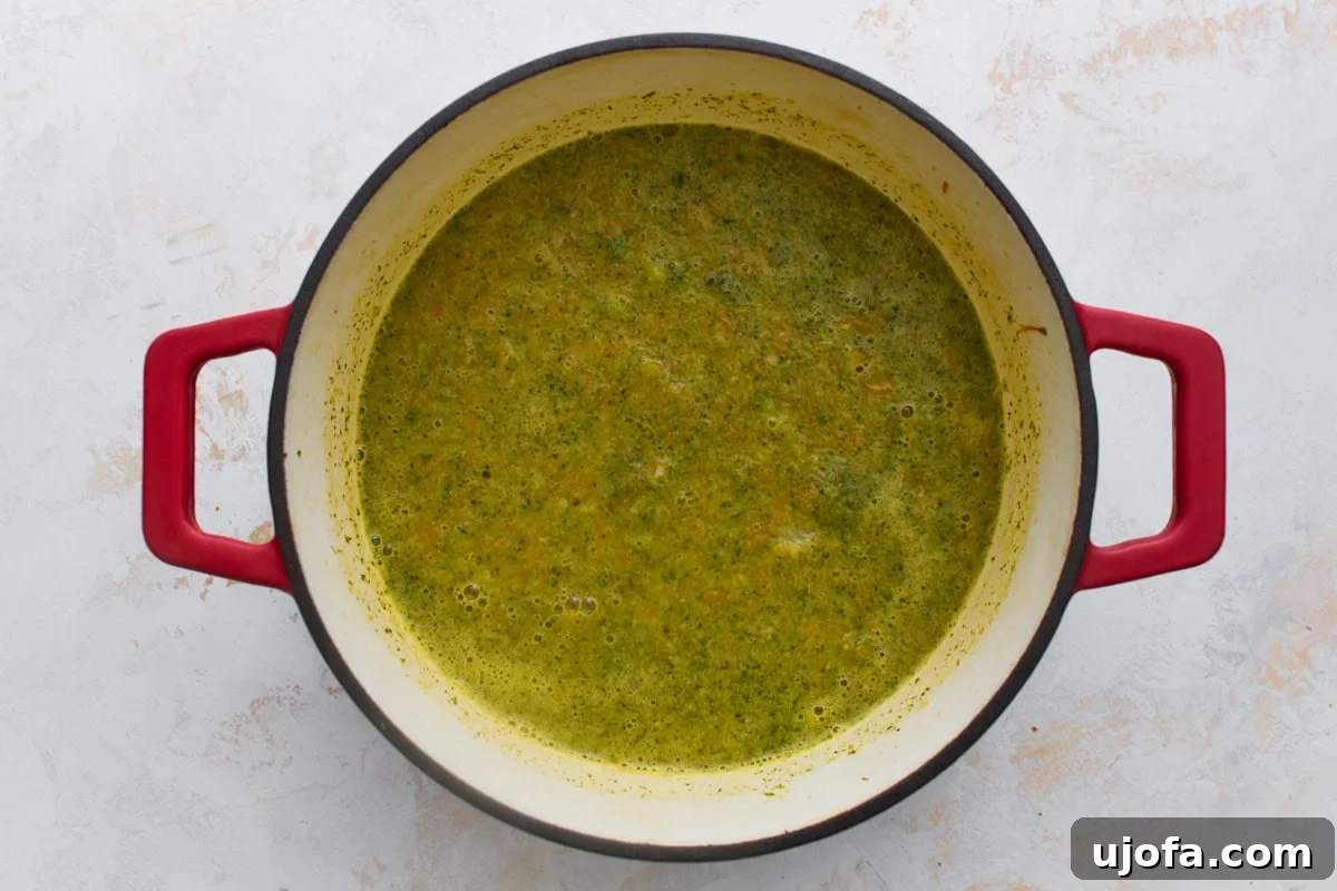 Creamy Broccoli Cheddar Soup (Gluten-Free) 5 Broccoli, carrots, and broth simmered and partially blended