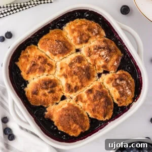 Delicious Gluten-Free and Dairy-Free Dessert Recipes 16 Freshly baked gluten-free blueberry cobbler with golden biscuit topping