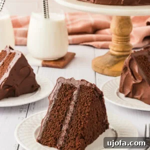 Delicious Gluten-Free and Dairy-Free Dessert Recipes 17 A slice of rich, two-layer chocolate cake with chocolate frosting