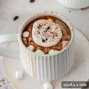 Delicious Gluten-Free and Dairy-Free Dessert Recipes 7 dair-free hot chocolate in a white mug on a white saucer with marshmallows and cocoa powder