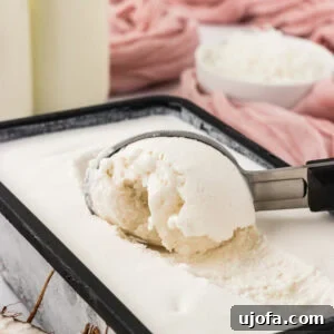 Delicious Gluten-Free and Dairy-Free Dessert Recipes 10 Scoop of creamy coconut sorbet in a loaf pan with shredded coconut