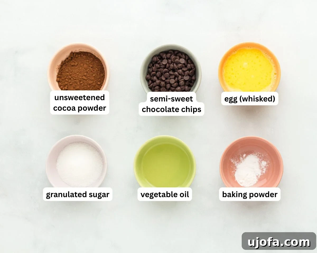 Microwave Flourless Chocolate Mug Cake 3 flourless mug cake ingredients